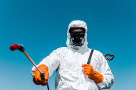 Best Termite Inspection and Treatment  in Ames, IA